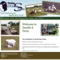 Double S Farm